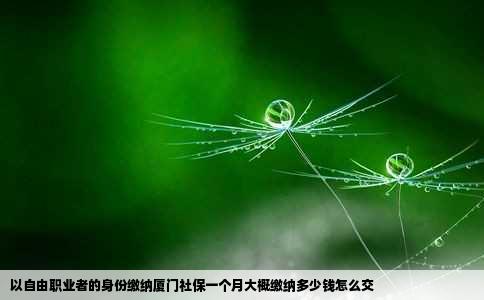 以自由职业者的身份缴纳厦门社保一个月大概缴纳多少钱怎么交