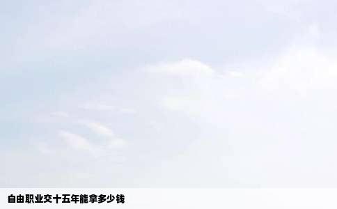 自由职业交十五年能拿多少钱