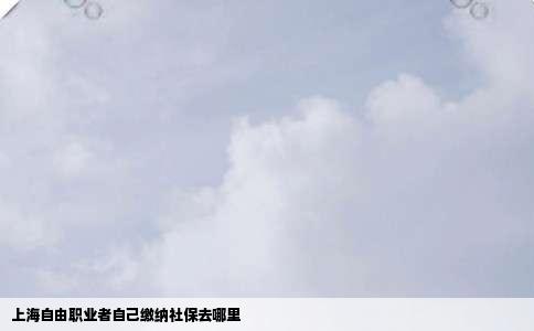 上海自由职业者自己缴纳社保去哪里