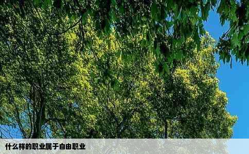什么样的职业属于自由职业