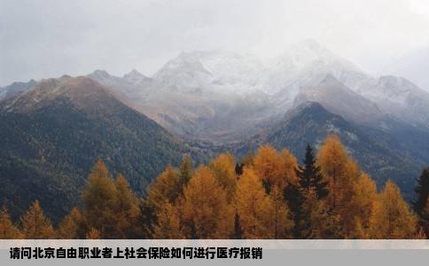 请问北京自由职业者上社会保险如何进行医疗报销