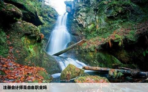 注册会计师是自由职业吗