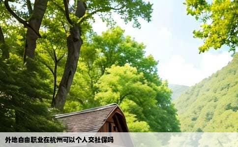 外地自由职业在杭州可以个人交社保吗