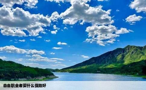 自由职业者买什么保险好