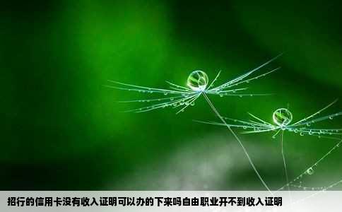 招行的信用卡没有收入证明可以办的下来吗自由职业开不到收入证明