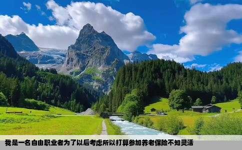 我是一名自由职业者为了以后考虑所以打算参加养老保险不知灵活