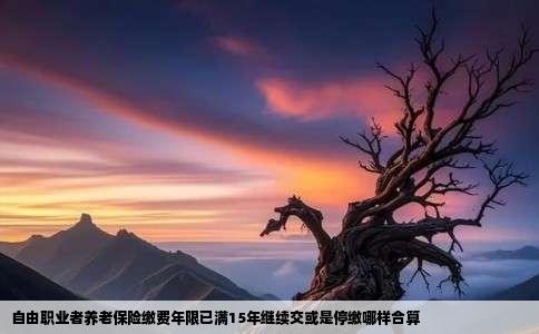 自由职业者养老保险缴费年限已满15年继续交或是停缴哪样合算