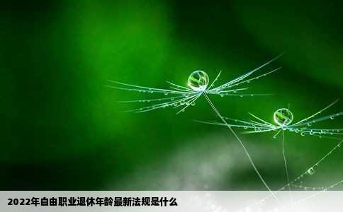 2022年自由职业退休年龄最新法规是什么