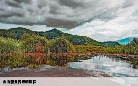 自由职业养老和医保