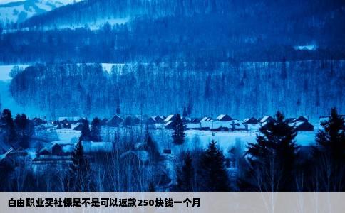 自由职业买社保是不是可以返款250块钱一个月