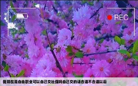 我现在是自由职业可以自己交社保吗自己交的话合适不合适以后