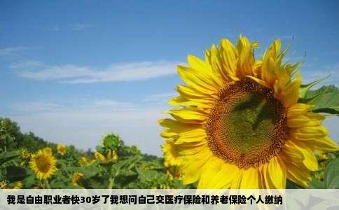 我是自由职业者快30岁了我想问自己交医疗保险和养老保险个人缴纳