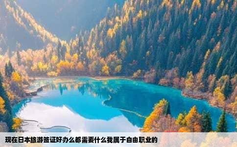 现在日本旅游签证好办么都需要什么我属于自由职业的