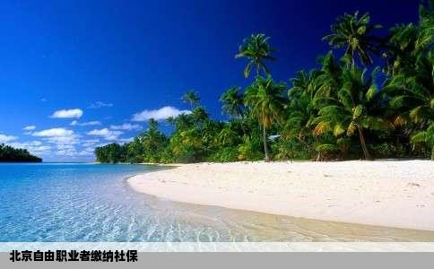 北京自由职业者缴纳社保