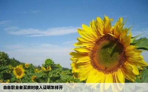 自由职业者买房时收入证明怎样开