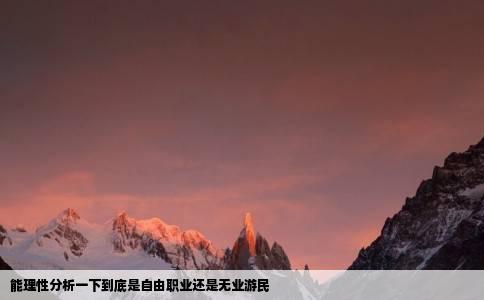能理性分析一下到底是自由职业还是无业游民