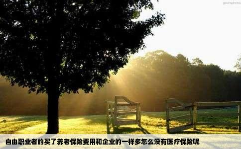 自由职业者的买了养老保险费用和企业的一样多怎么没有医疗保险呢