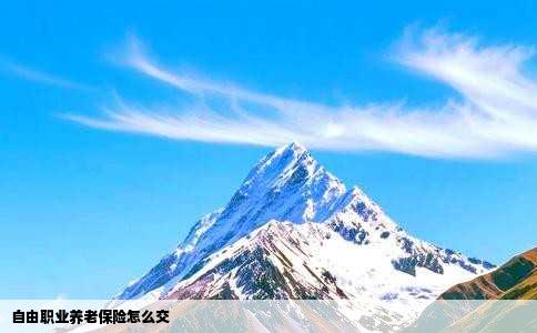 自由职业养老保险怎么交