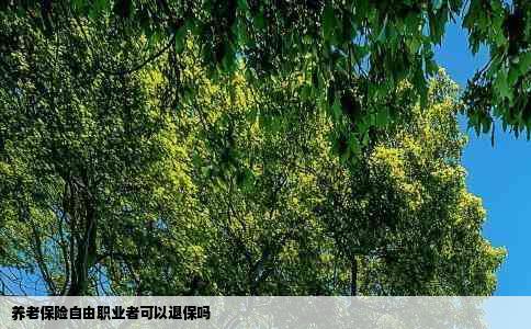 养老保险自由职业者可以退保吗
