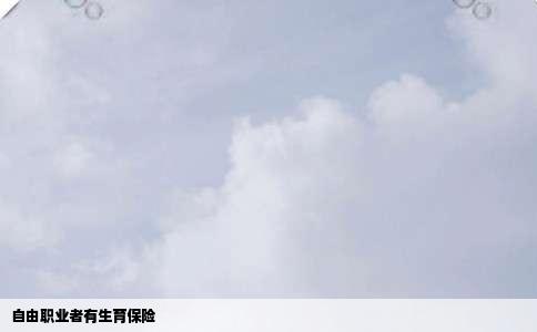 自由职业者有生育保险