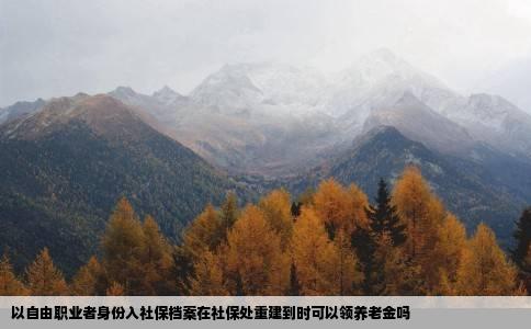 以自由职业者身份入社保档案在社保处重建到时可以领养老金吗