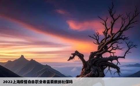 2022上海疫情自由职业者需要缴纳社保吗