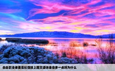 自由职业者要是社保按上限交退休金会多一点吗为什么