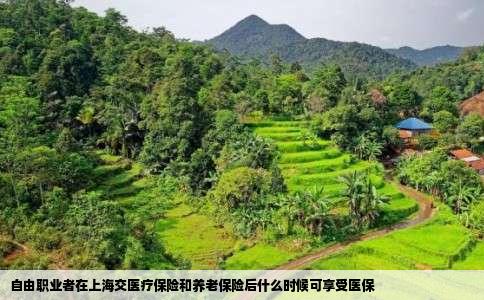 自由职业者在上海交医疗保险和养老保险后什么时候可享受医保
