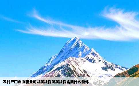 农村户口自由职业可以买社保吗买社保需要什么条件