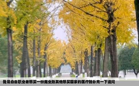 我是自由职业者想买一份商业险其他想买国家的医疗险补充一下请问
