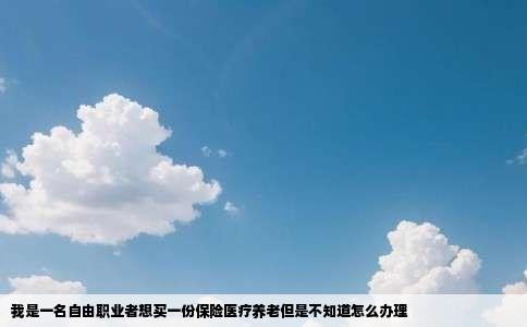我是一名自由职业者想买一份保险医疗养老但是不知道怎么办理