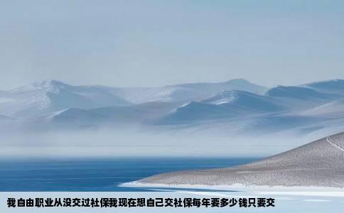 我自由职业从没交过社保我现在想自己交社保每年要多少钱只要交