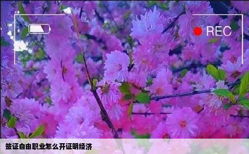 签证自由职业怎么开证明经济