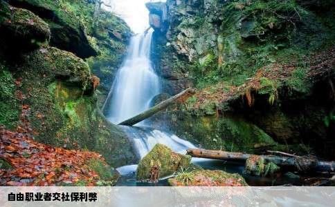 自由职业者交社保利弊