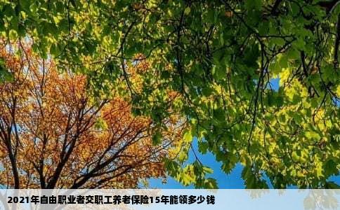 2021年自由职业者交职工养老保险15年能领多少钱