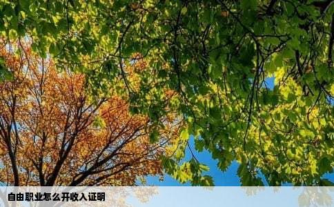 自由职业怎么开收入证明
