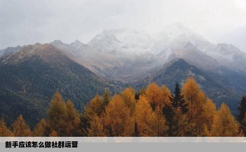 新手应该怎么做社群运营