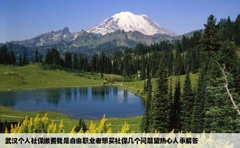 武汉个人社保缴费我是自由职业者想买社保几个问题望热心人事解答