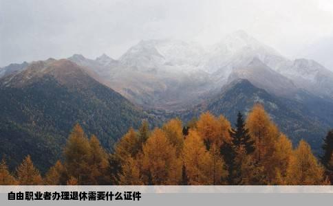 自由职业者办理退休需要什么证件