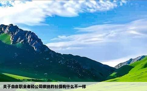 关于自由职业者和公司缴纳的社保有什么不一样