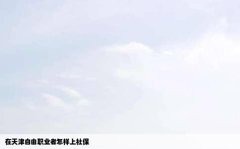 在天津自由职业者怎样上社保