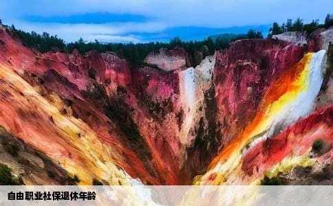 自由职业社保退休年龄