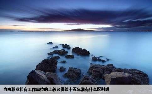 自由职业和有工作单位的上养老保险十五年满有什么区别吗