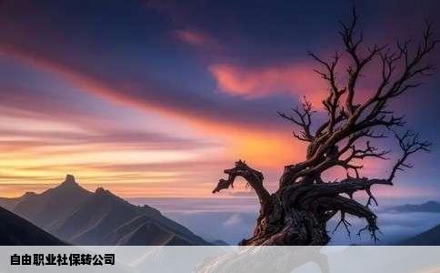 自由职业社保转公司