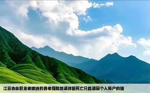 江苏自由职业者缴纳的养老保险如退休前死亡只能退回个人账户的钱