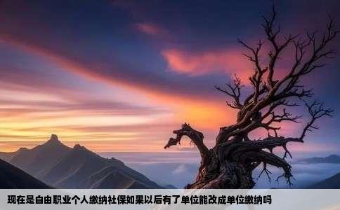 现在是自由职业个人缴纳社保如果以后有了单位能改成单位缴纳吗