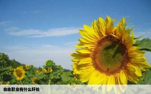 自由职业有什么好处