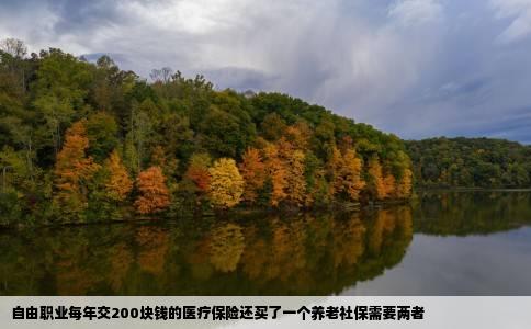 自由职业每年交200块钱的医疗保险还买了一个养老社保需要两者