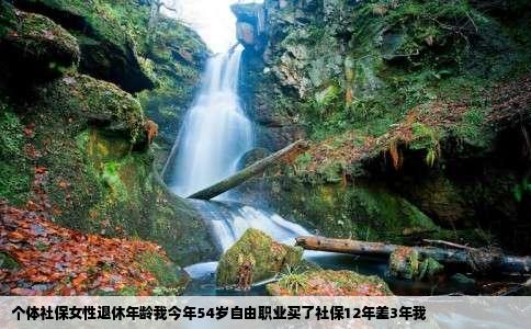 个体社保女性退休年龄我今年54岁自由职业买了社保12年差3年我