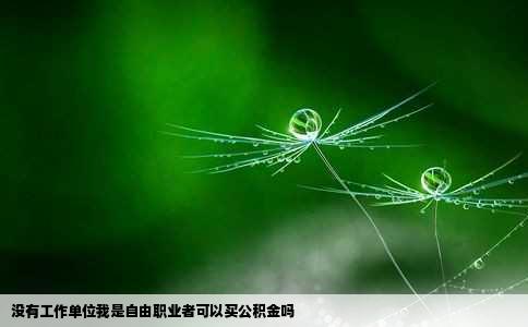 没有工作单位我是自由职业者可以买公积金吗